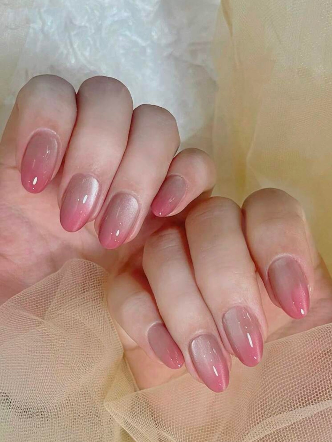 Cat Eye Ombre Oval Shape press-ons